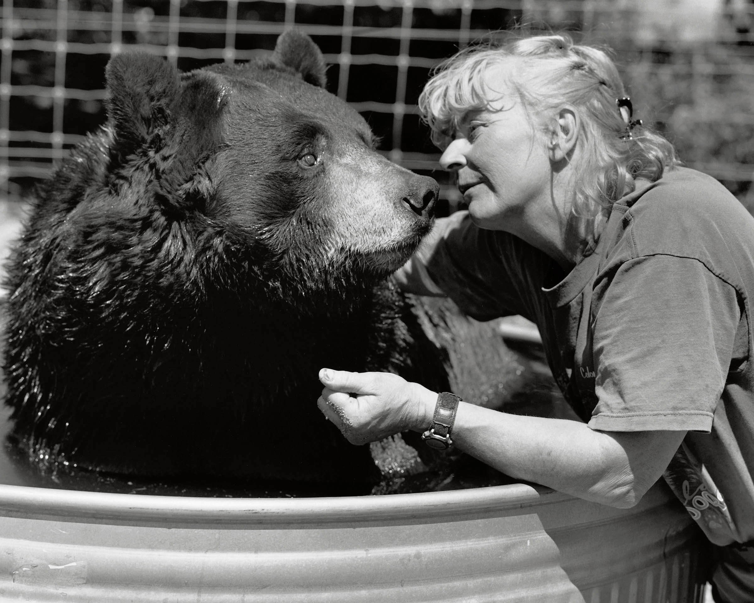 アート・デザイン・音楽 BRUCE WEBER  ALL-AMERICAN All American VI: Larger Than Life