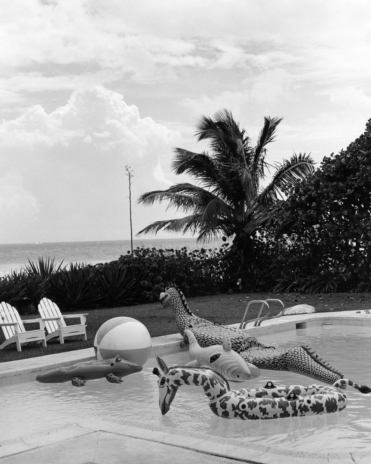 Bruce Weber