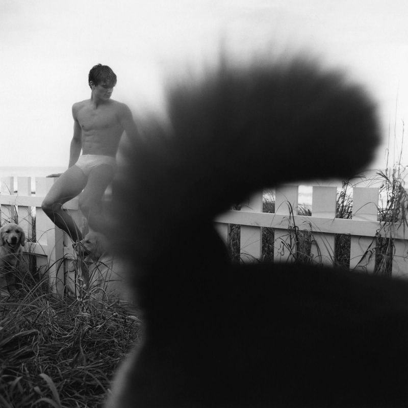 Bruce Weber